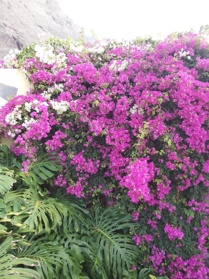 Mi Jardin Βίλα Φροντέρα Εξωτερικό φωτογραφία