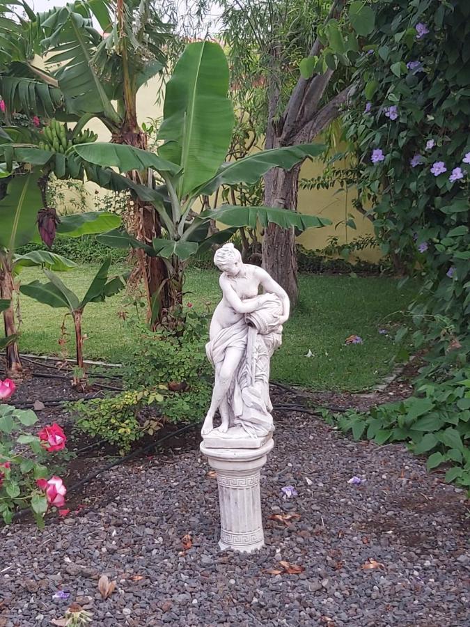 Mi Jardin Βίλα Φροντέρα Εξωτερικό φωτογραφία