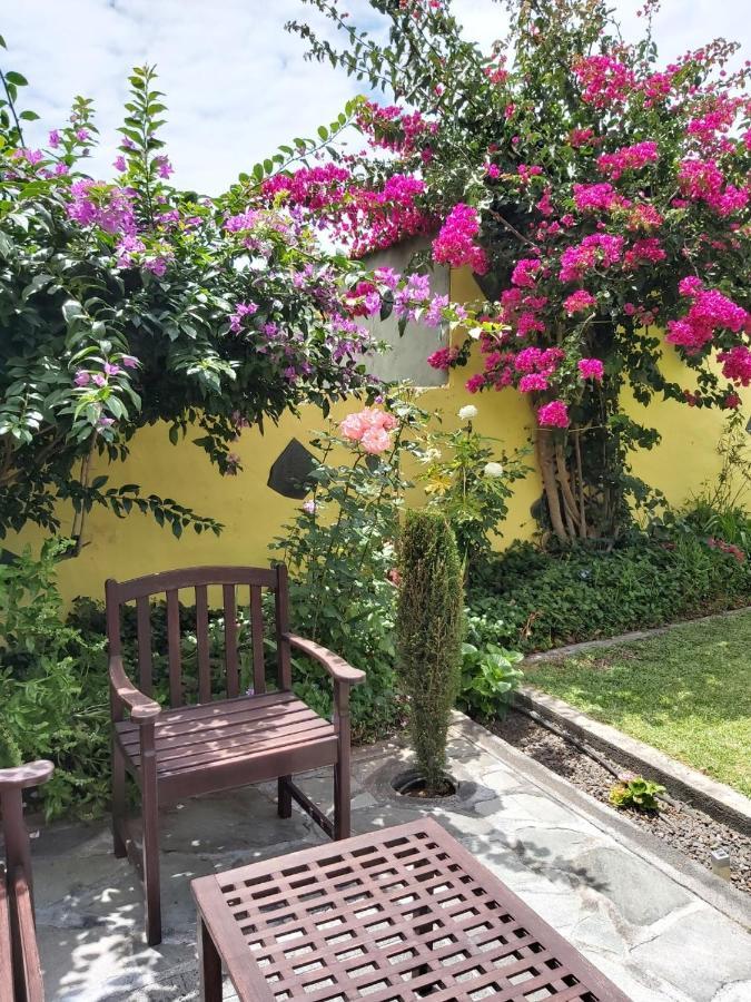 Mi Jardin Βίλα Φροντέρα Εξωτερικό φωτογραφία