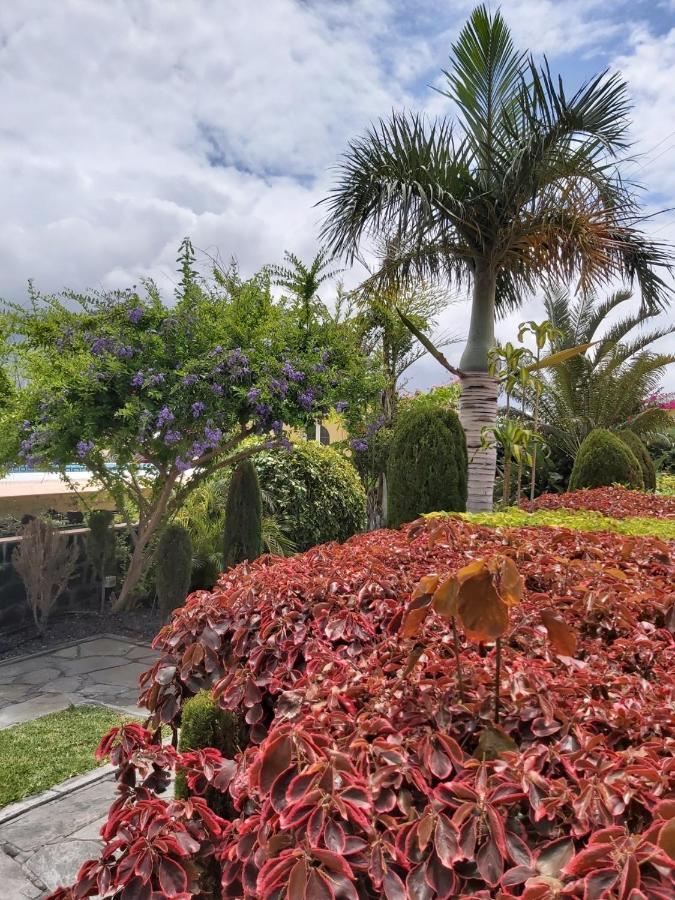 Mi Jardin Βίλα Φροντέρα Εξωτερικό φωτογραφία