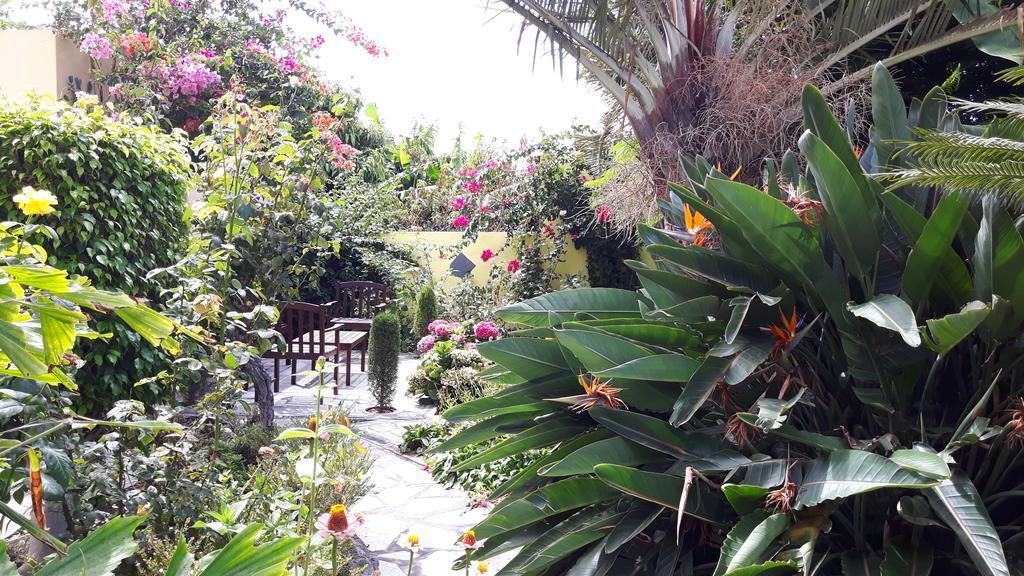 Mi Jardin Βίλα Φροντέρα Εξωτερικό φωτογραφία