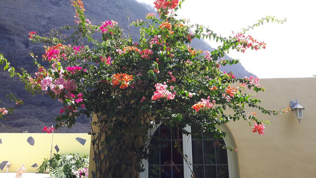 Mi Jardin Βίλα Φροντέρα Εξωτερικό φωτογραφία