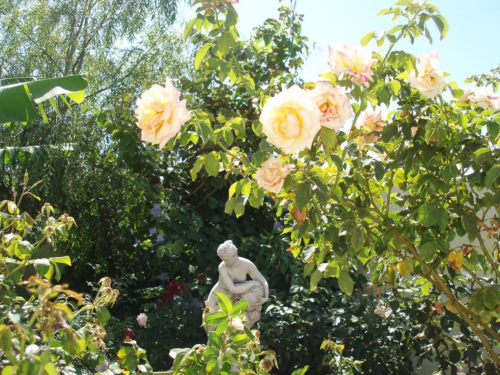 Mi Jardin Βίλα Φροντέρα Εξωτερικό φωτογραφία